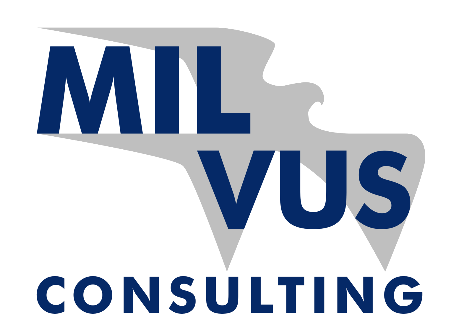 Milvus consulting NV
