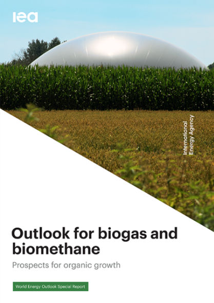 outlook for biogas and biomethane