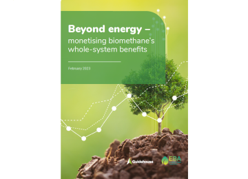 Voorblad rapport: 'Beyond energy - monetising biomethane's external benefits